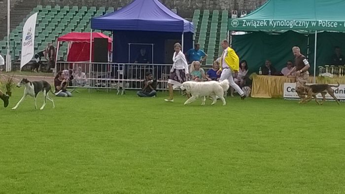 WP_20170729_16_33_00_Pro.jpg