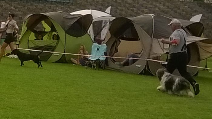 WP_20170729_16_33_16_Pro.jpg