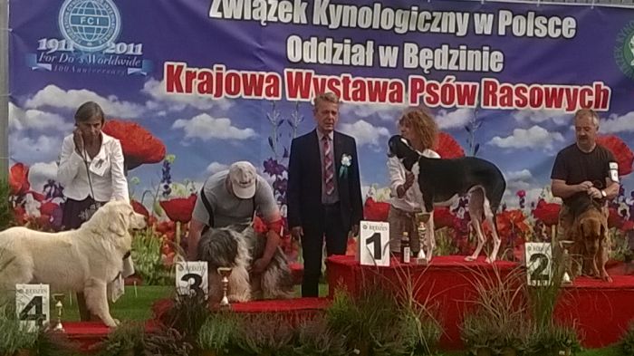 WP_20170729_16_34_33_Pro.jpg