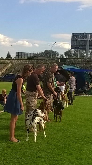 WP_20170729_17_15_59_Pro.jpg