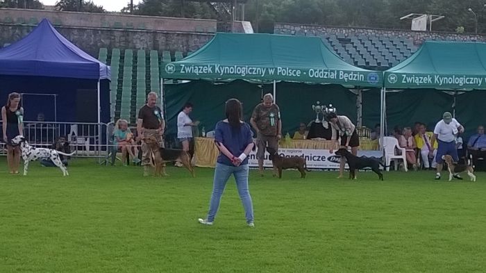 WP_20170729_17_18_07_Pro.jpg