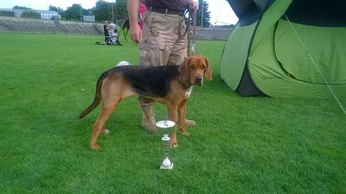 WP_20170729_17_23_11_Pro.jpg