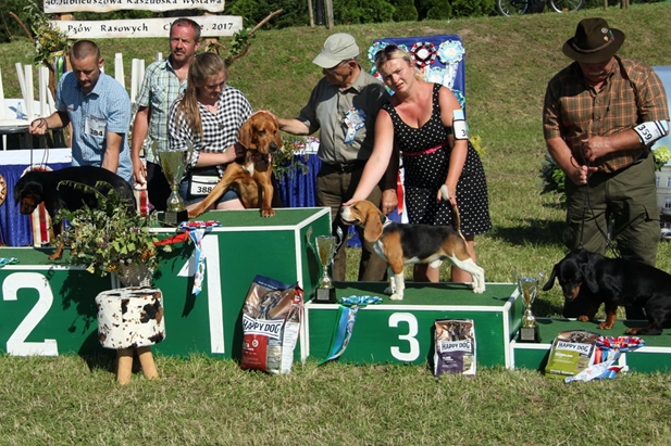 podium1.jpg
