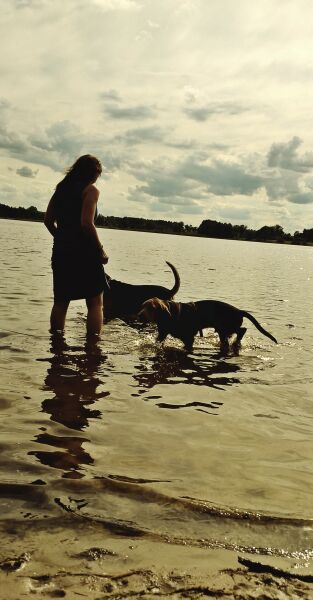 WP_20170727_16_18_21_Pro (2).jpg