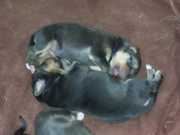 maly04.080003.jpg