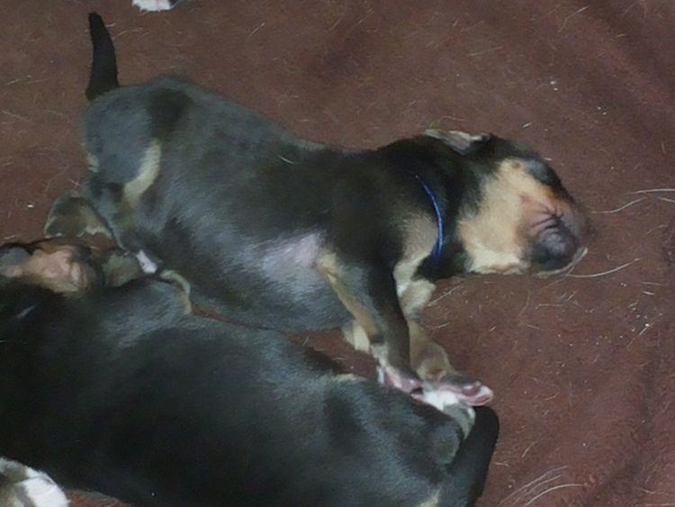 maly04.080005.jpg