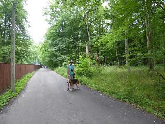 P1000826.jpg
