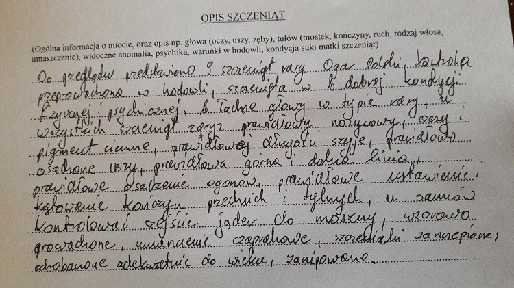 przegląd miotu.jpg