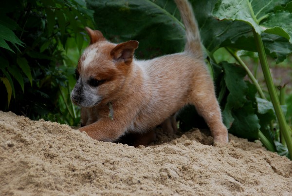 DSC_1057.JPG