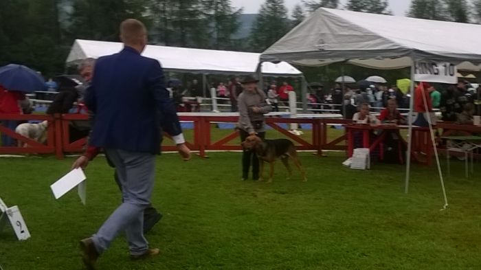 Psy - młodzież i Pośr.