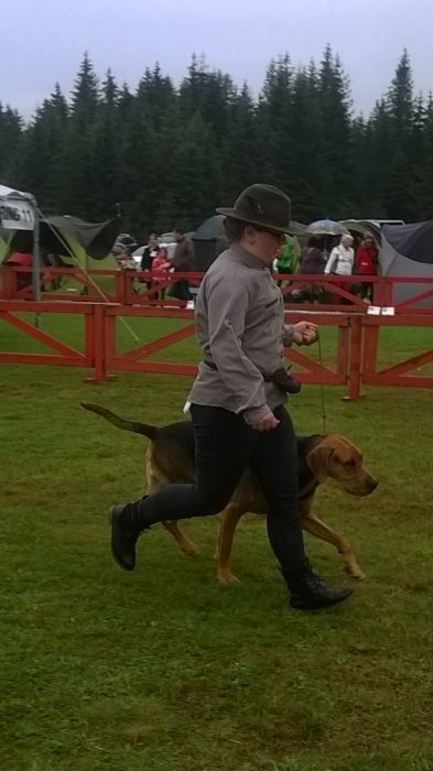WP_20170813_10_57_00_Pro.jpg