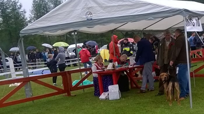 WP_20170813_11_02_15_Pro.jpg
