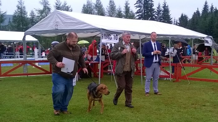 WP_20170813_11_04_12_Pro.jpg