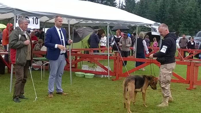 WP_20170813_11_04_32_Pro.jpg