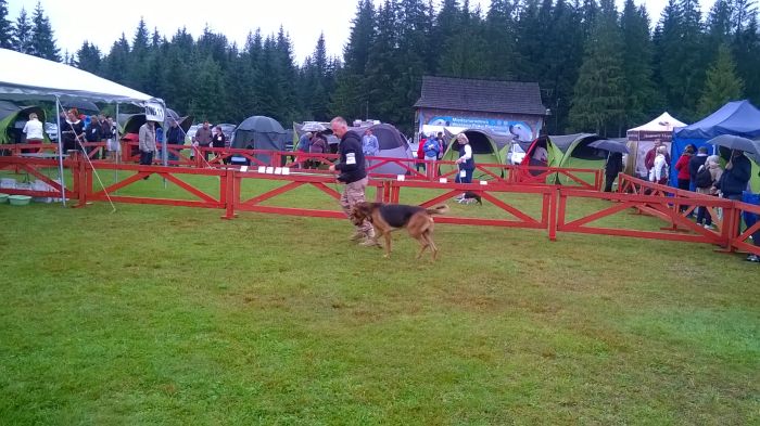 WP_20170813_11_04_46_Pro.jpg