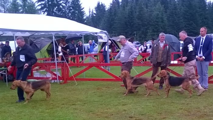 WP_20170813_11_09_47_Pro.jpg