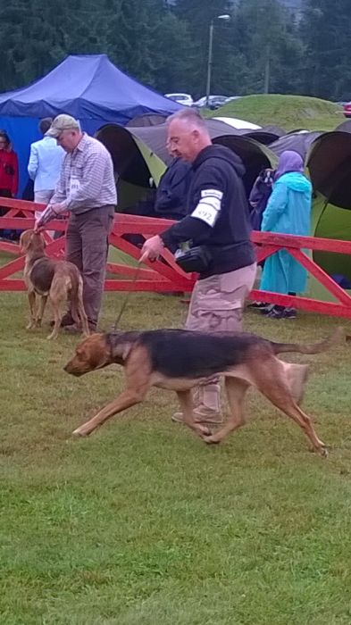 WP_20170813_11_16_59_Pro.jpg