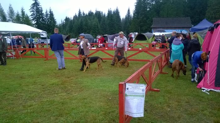 WP_20170813_11_26_34_Pro.jpg