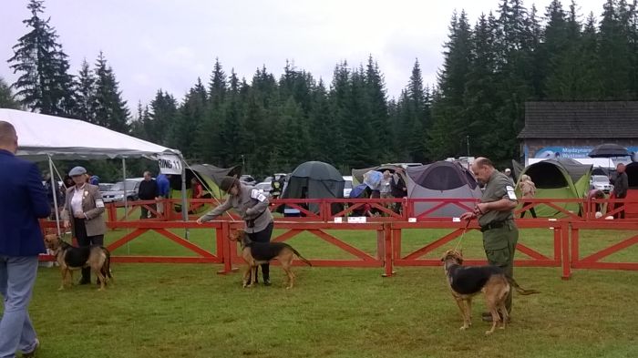 WP_20170813_11_32_03_Pro.jpg