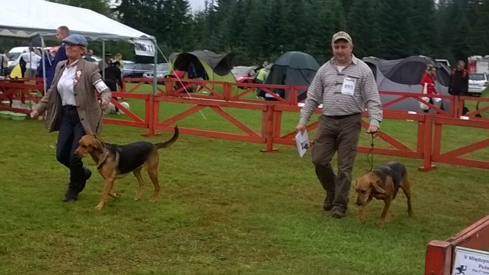 WP_20170813_11_26_36_Pro.jpg