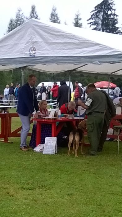 Porównanie suk. Nadzieja, Gaja i Nora.
