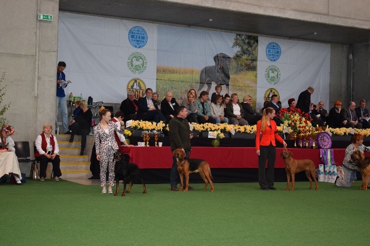 7CACIB_CWC_BOB_NDPwR_ II BIS RAS POLSKICH_IV BOG VI OPOLE2017 .jpg