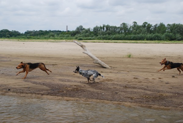 DSC_1145.JPG