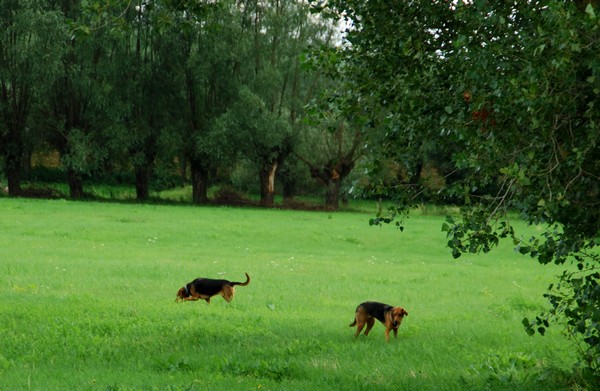 DSC_1209.JPG