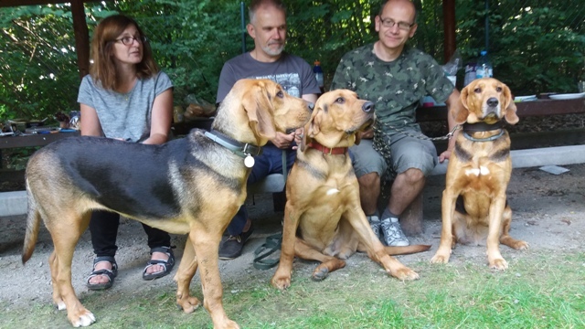 TABUN, TAJGA i HAŃCZA na ogarowym spotkaniu u Kasi i Tomka w Niemczy (1).jpg