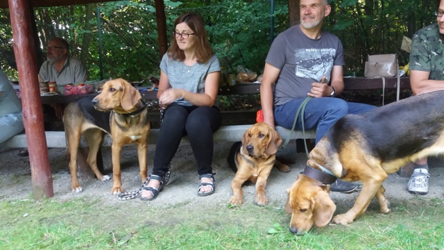 TABUN, TAJGA i HAŃCZA na ogarowym spotkaniu u Kasi i Tomka w Niemczy (3).jpg