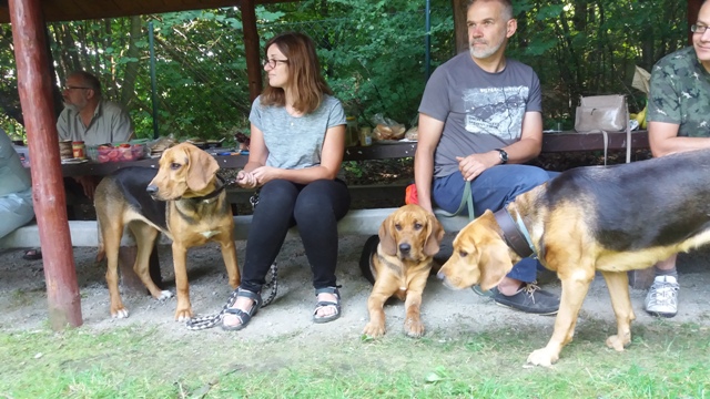 TABUN, TAJGA i HAŃCZA na ogarowym spotkaniu u Kasi i Tomka w Niemczy (5).jpg