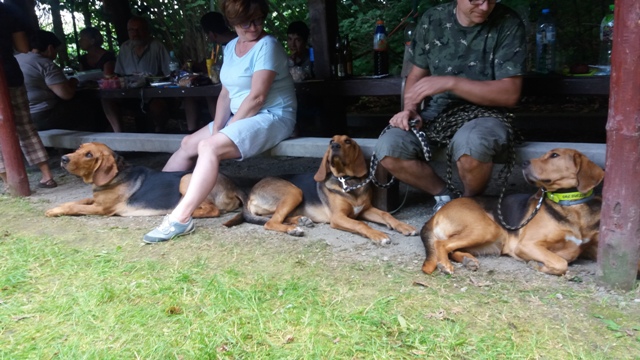 TABUN, TAJGA i HAŃCZA na ogarowym spotkaniu u Kasi i Tomka w Niemczy (11).jpg