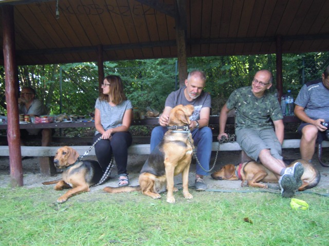 TABUN, TAJGA i HAŃCZA na ogarowym spotkaniu u Kasi i Tomka w Niemczy (19).JPG