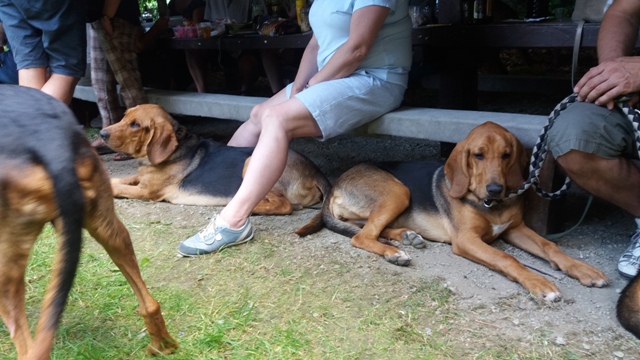 TAJGA i TABUN Leśne Bytowanie na ogarowym spotkaniu w Niemczy (4).jpg