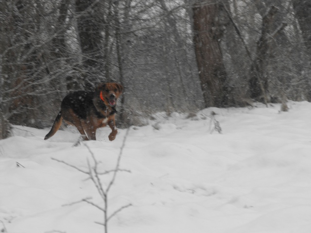 DSCF5013.JPG