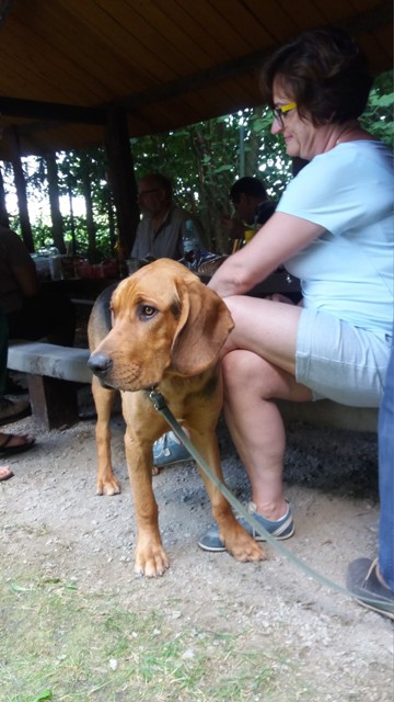 TABUN Leśne Bytowanie na ogarzym spotkaniu w Niemczy (6).jpg