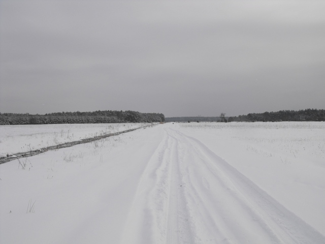 DSCF5028.JPG