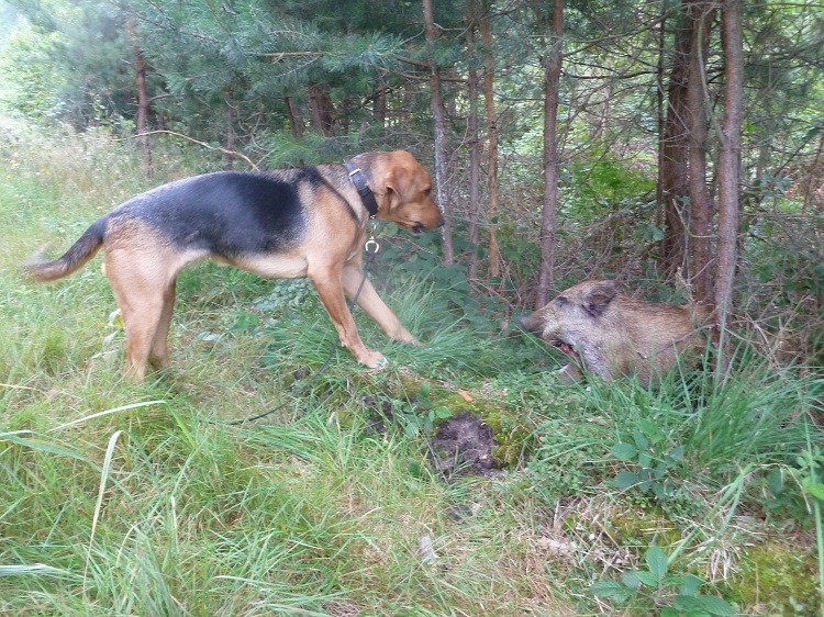 P1060563zm.JPG