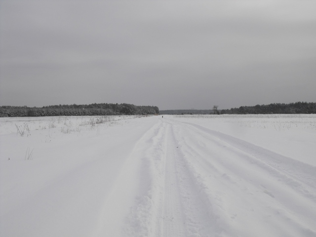 DSCF5029.JPG