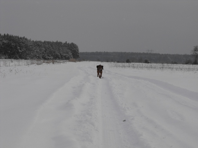 DSCF5030.JPG