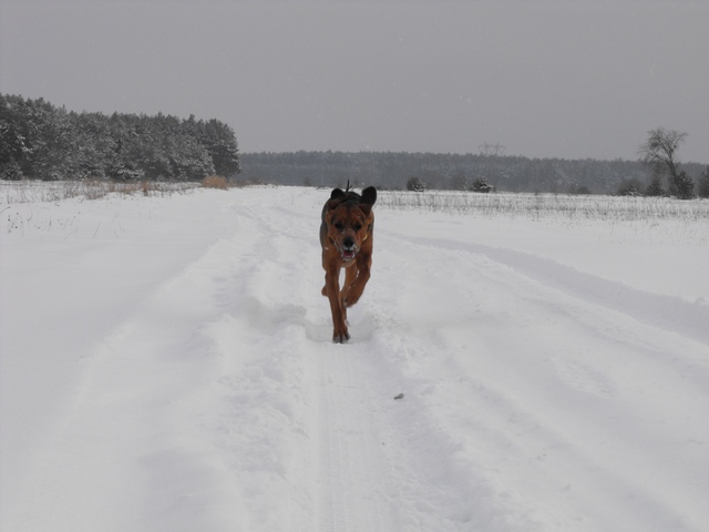 DSCF5031.JPG