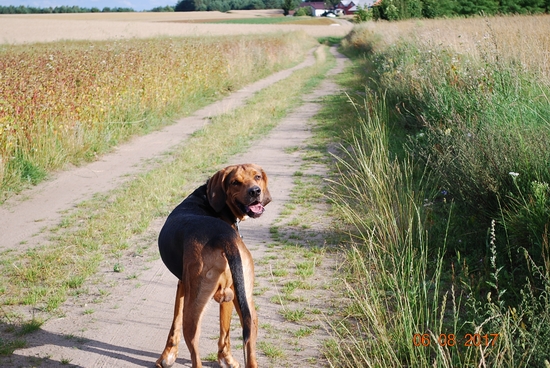 Ile można na was czekać