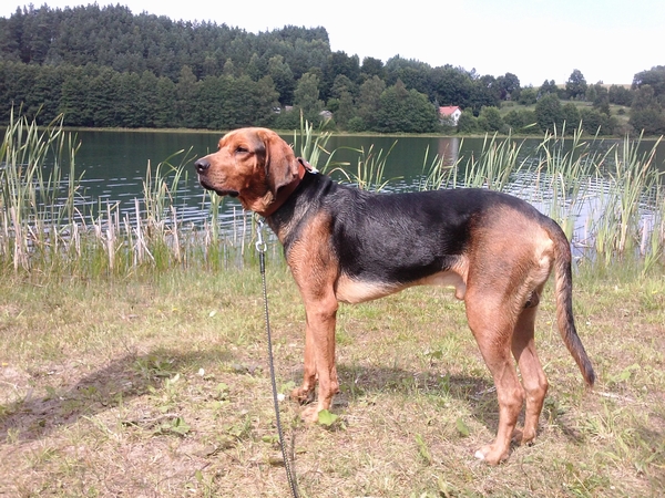 Ulubione jezioro wiejskie