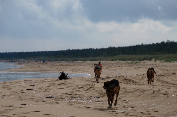 DSC_1240.JPG