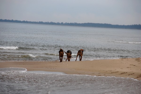 DSC_1252.JPG