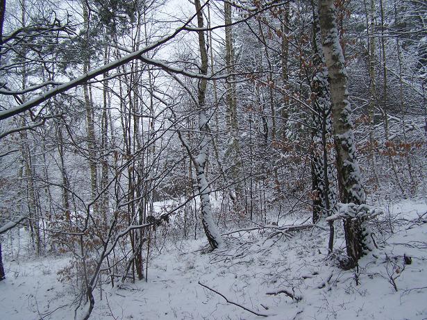 tutaj nas prawie nie widać ,pani szuka dobrego aparatu