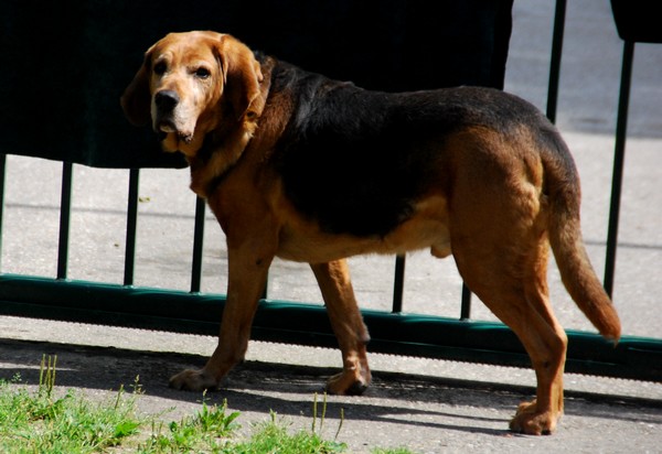 DSC_1318.JPG