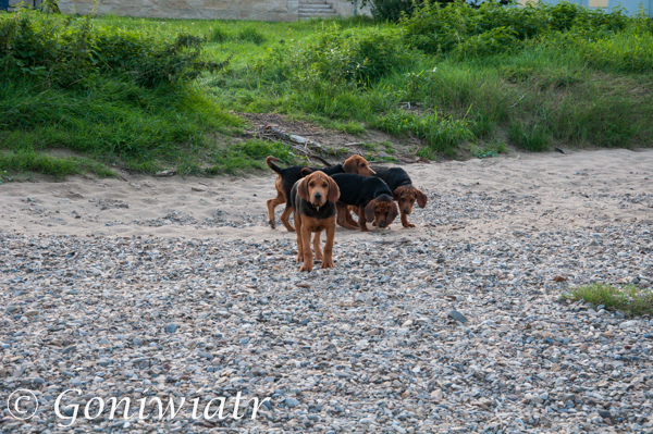DSC_0243.jpg