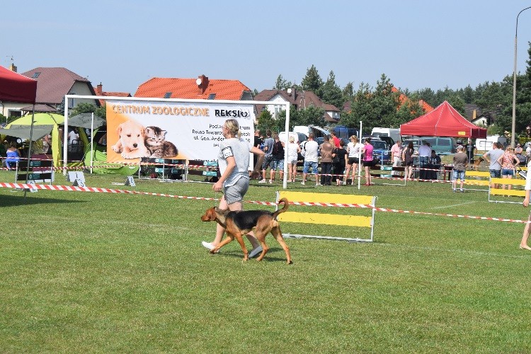 10_SUKI_MŁODZIEŻ ZACNA Ostoja znad Łyny.jpg