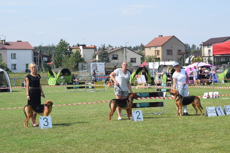 16_SUKI OTWARTA _Wyniki _1 NADZIEJA SN_2 POCIECHA PwL_ 3 ILJA z Sarmackiej Tradycji .jpg